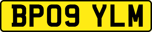 BP09YLM