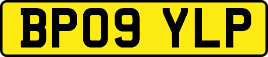 BP09YLP