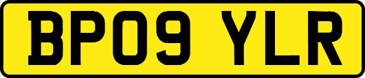 BP09YLR
