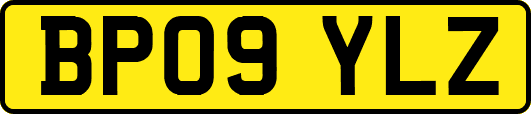 BP09YLZ