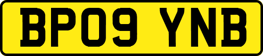 BP09YNB