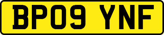 BP09YNF