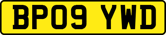 BP09YWD