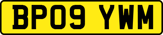 BP09YWM