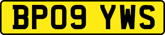BP09YWS
