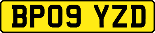 BP09YZD