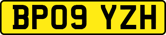BP09YZH