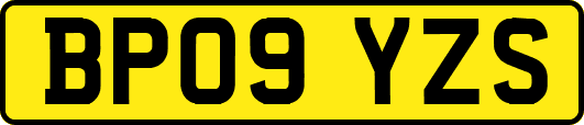BP09YZS