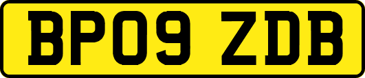 BP09ZDB