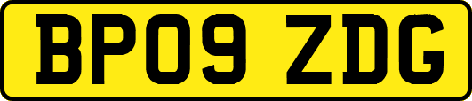 BP09ZDG