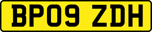 BP09ZDH
