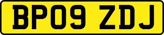BP09ZDJ