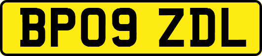 BP09ZDL