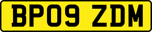 BP09ZDM