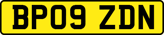 BP09ZDN