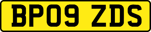 BP09ZDS
