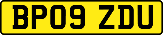 BP09ZDU