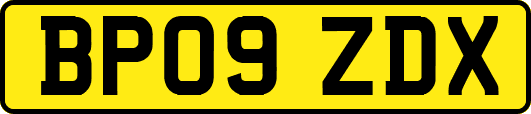 BP09ZDX