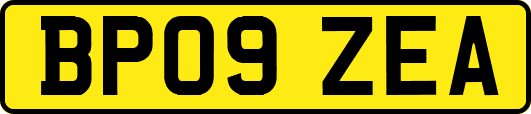 BP09ZEA