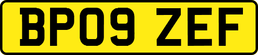 BP09ZEF