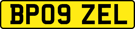 BP09ZEL