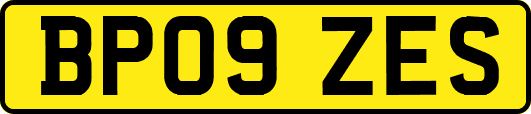 BP09ZES