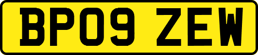 BP09ZEW
