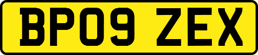 BP09ZEX