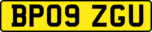 BP09ZGU