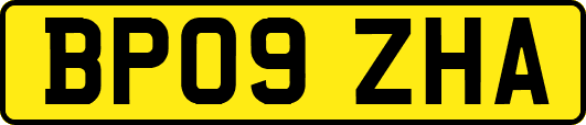 BP09ZHA