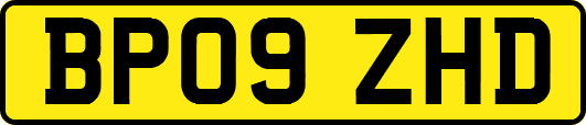 BP09ZHD