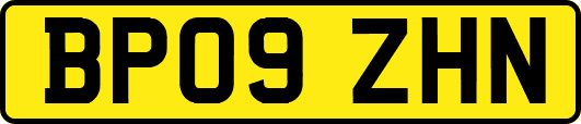 BP09ZHN
