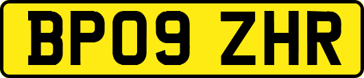 BP09ZHR