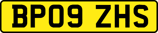 BP09ZHS