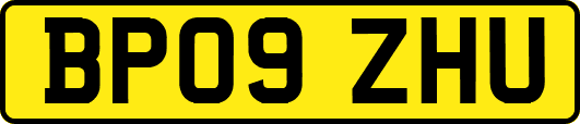 BP09ZHU