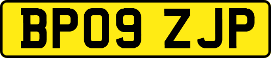 BP09ZJP