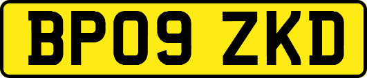 BP09ZKD