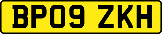 BP09ZKH