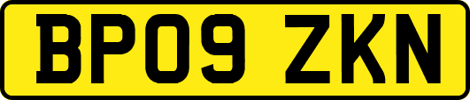 BP09ZKN