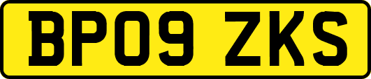 BP09ZKS