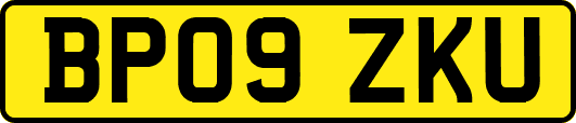 BP09ZKU
