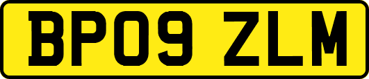 BP09ZLM