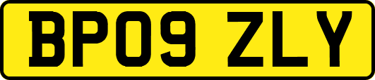 BP09ZLY