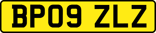 BP09ZLZ