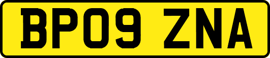 BP09ZNA