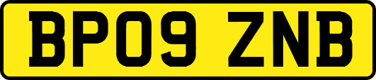 BP09ZNB