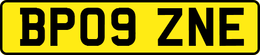 BP09ZNE