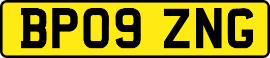 BP09ZNG