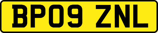 BP09ZNL
