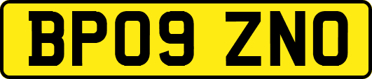 BP09ZNO